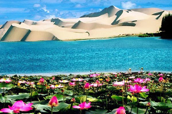 Bao Tien Mini Hotel Phan Thiết Eksteriør billede